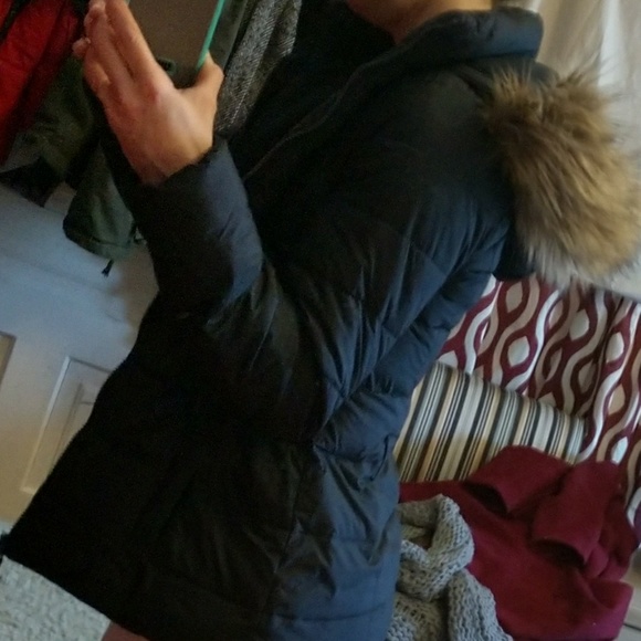 Hollister Puffy Coat - Picture 5 of 6